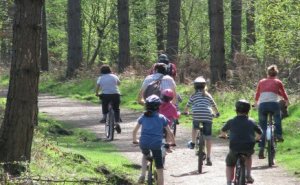 Cycling Forest of Dean