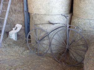 Velocipede