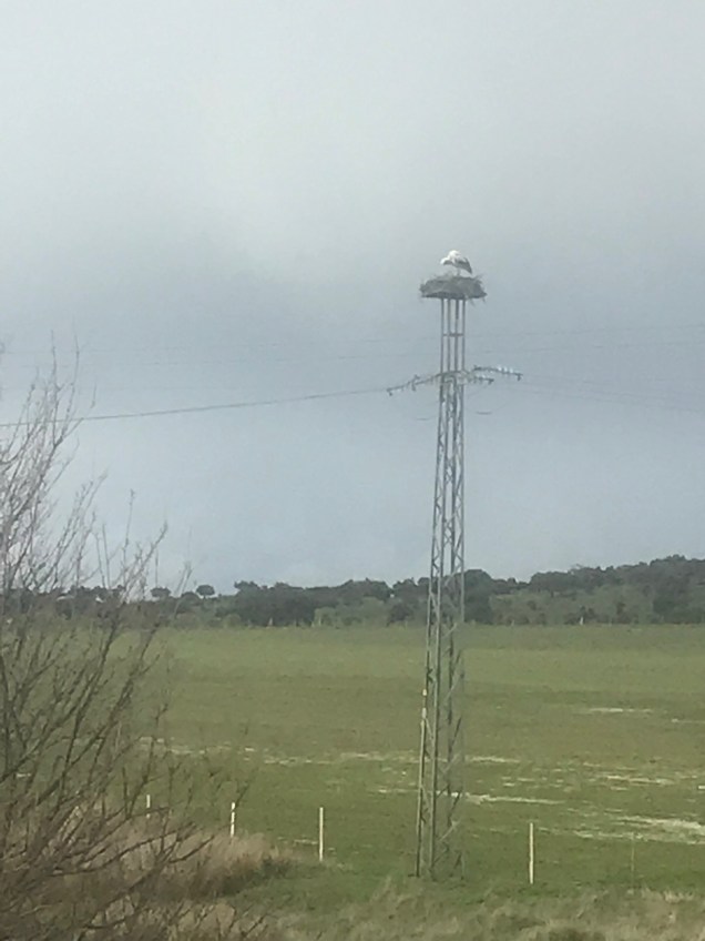 1C9E12D4-35F0-4FD8-871D-37E8F727731E